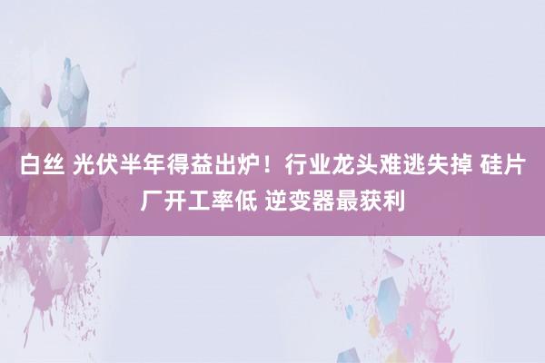 白丝 光伏半年得益出炉！行业龙头难逃失掉 硅片厂开工率低 逆变器最获利
