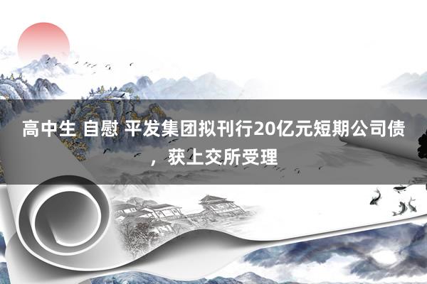 高中生 自慰 平发集团拟刊行20亿元短期公司债，获上交所受理