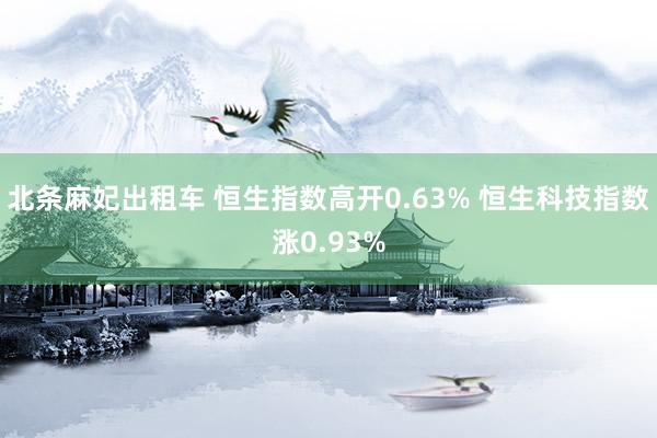 北条麻妃出租车 恒生指数高开0.63% 恒生科技指数涨0.93%