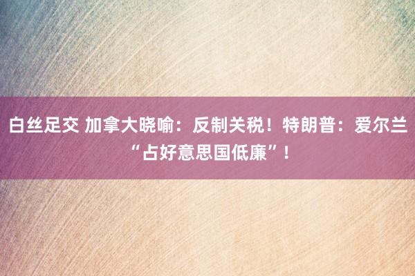 白丝足交 加拿大晓喻：反制关税！特朗普：爱尔兰“占好意思国低廉”！