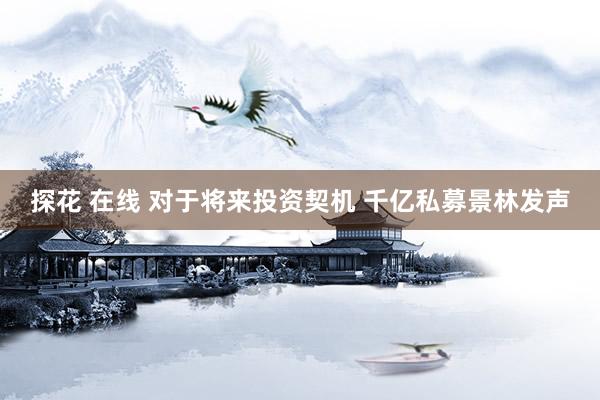 探花 在线 对于将来投资契机 千亿私募景林发声