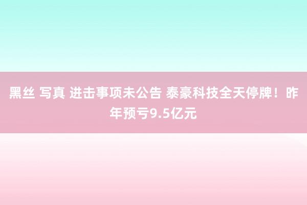 黑丝 写真 进击事项未公告 泰豪科技全天停牌！昨年预亏9.5亿元
