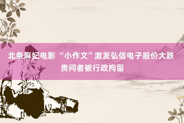 北条麻妃电影 “小作文”激发弘信电子股价大跌 责问者被行政拘留