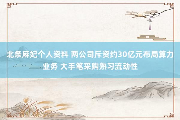 北条麻妃个人资料 两公司斥资约30亿元布局算力业务 大手笔采购熟习流动性